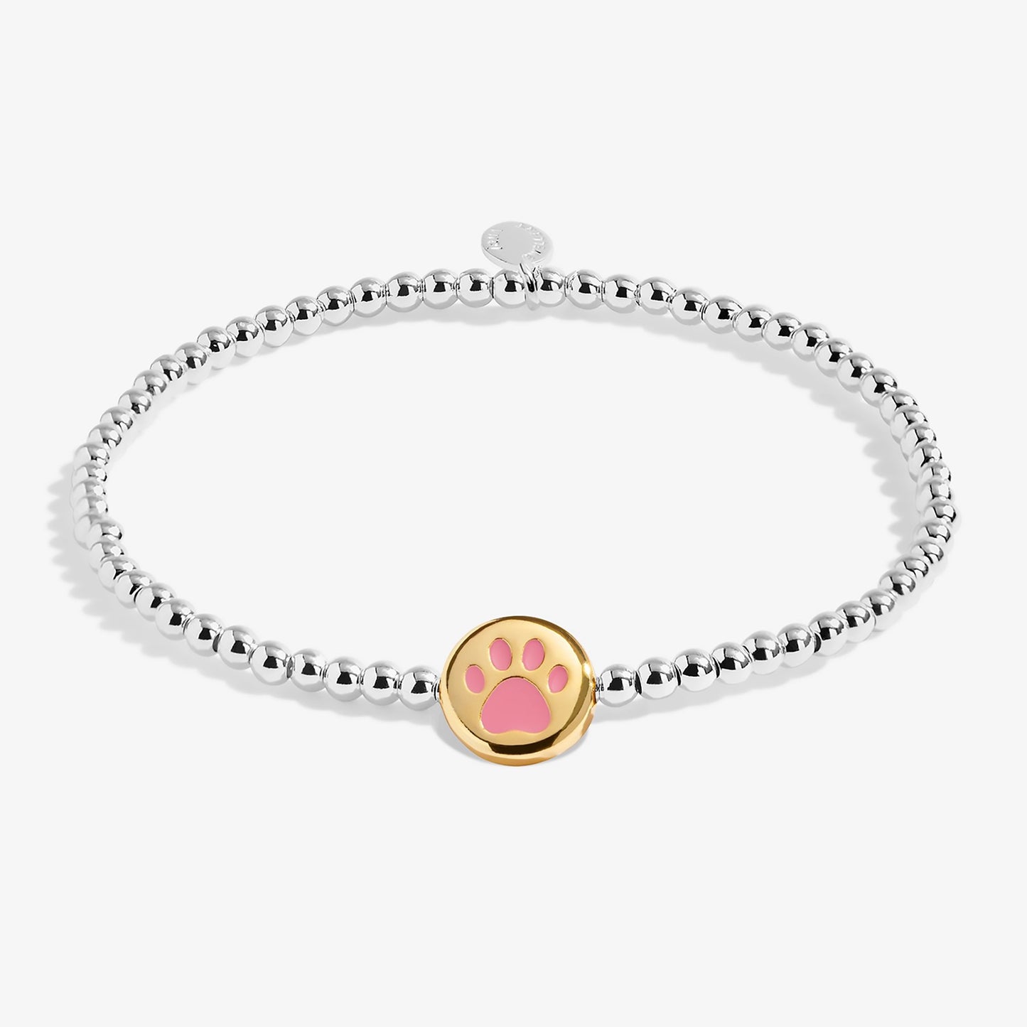 A Little Bracelet | Pawsitive Vibes