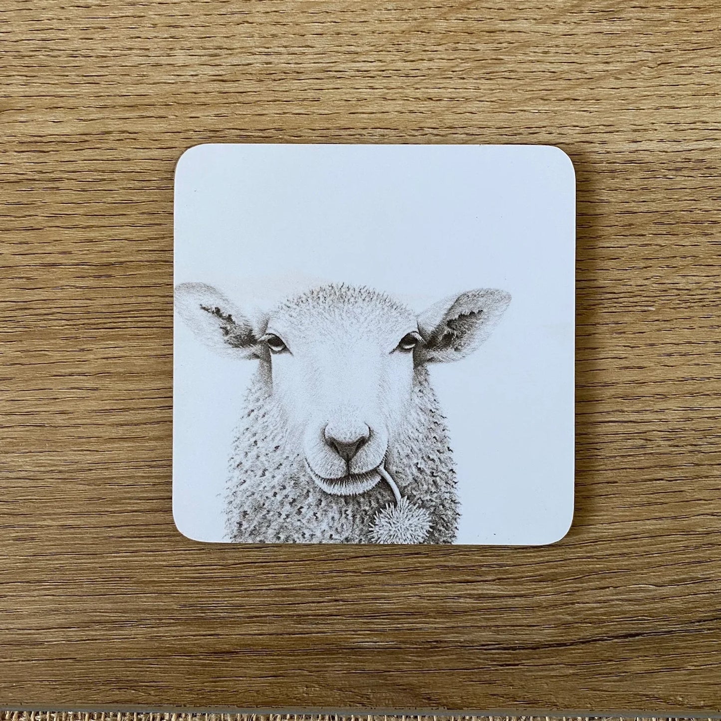 Coaster | Baaley Sheep