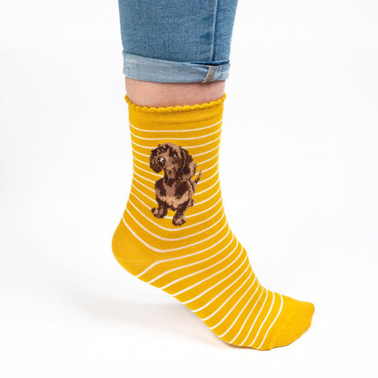 Model wearing a pair of yellow socks with a little sausage dog picture and white stripes
