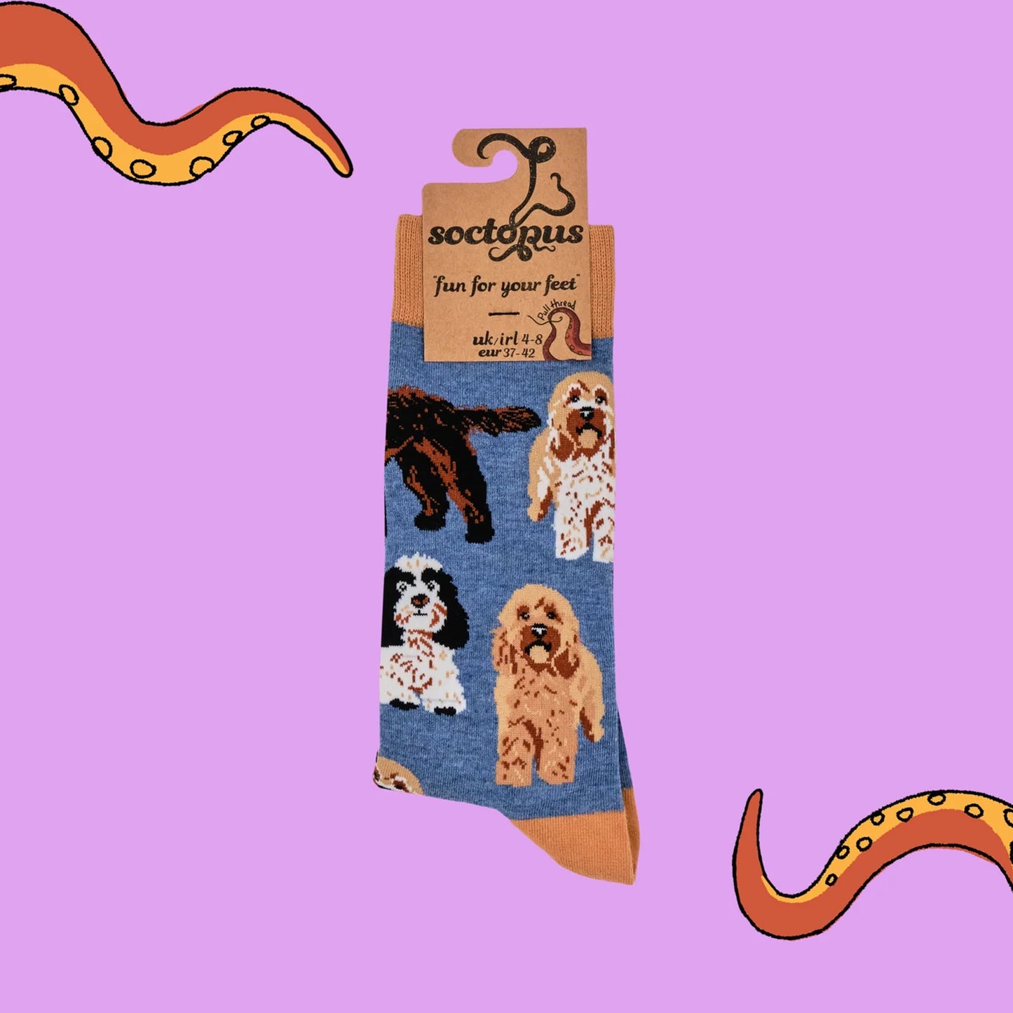 Pair of denim blue socks with cockapoo dog design