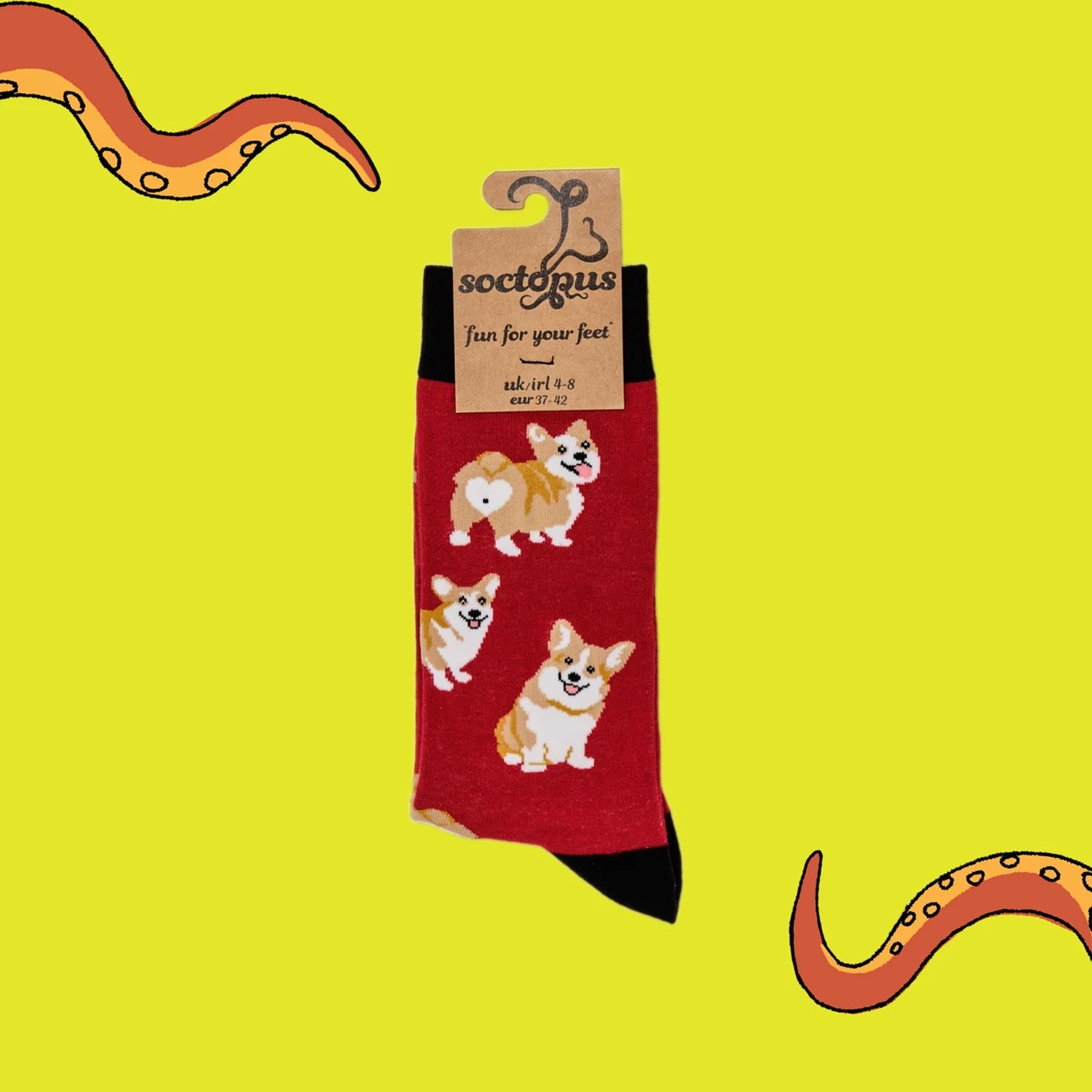 Packaged corgi dog socks in red