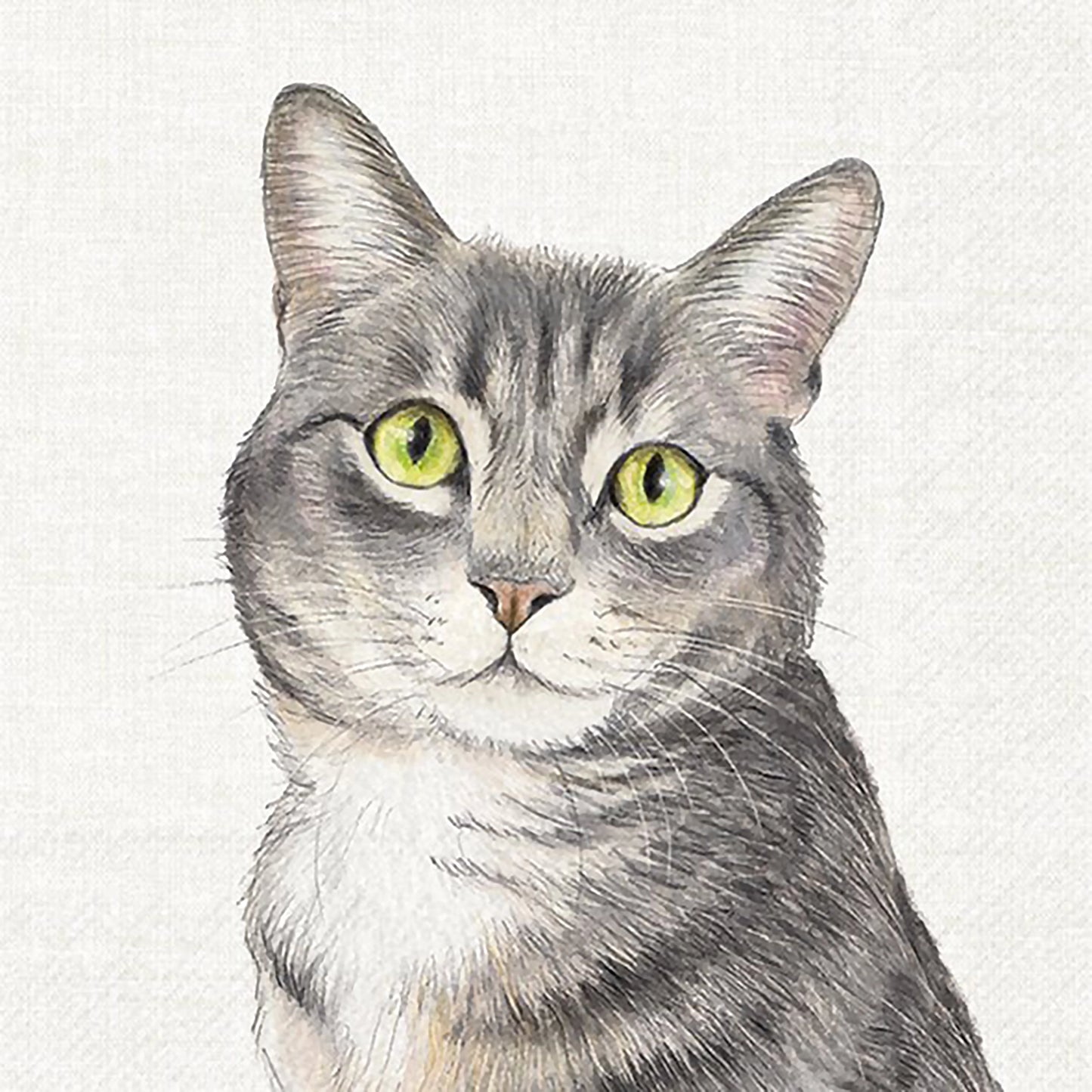 Paper napkins with tabby cat design