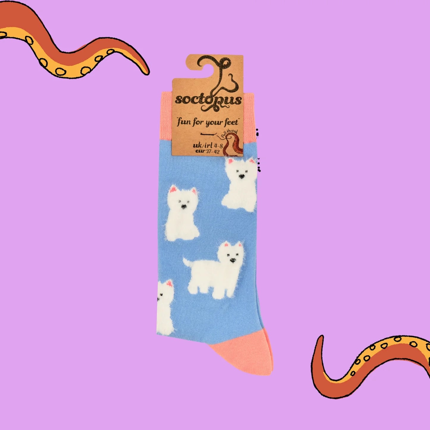 Pair of blue tufted fluffy West Highland Terrier dog socks