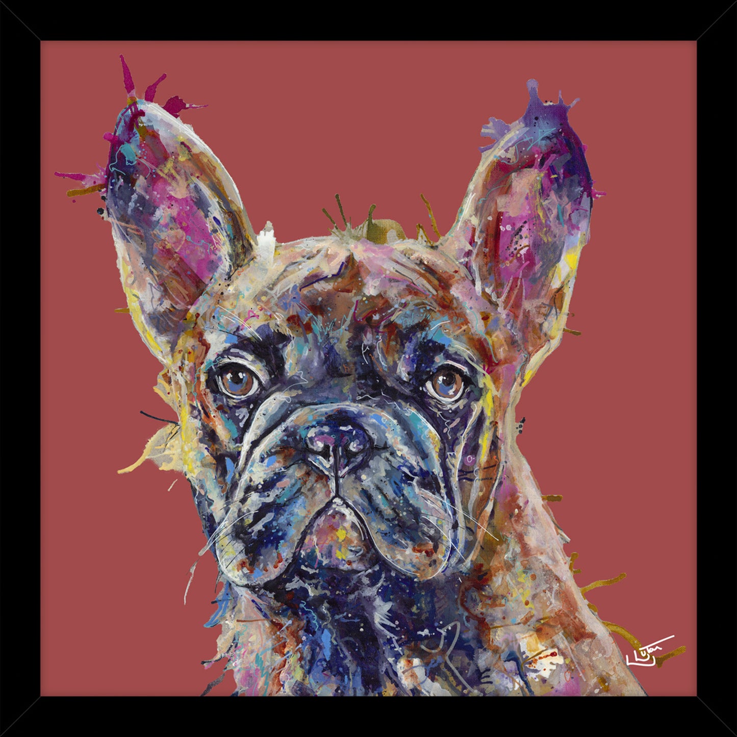 Frenchie Small - Dog