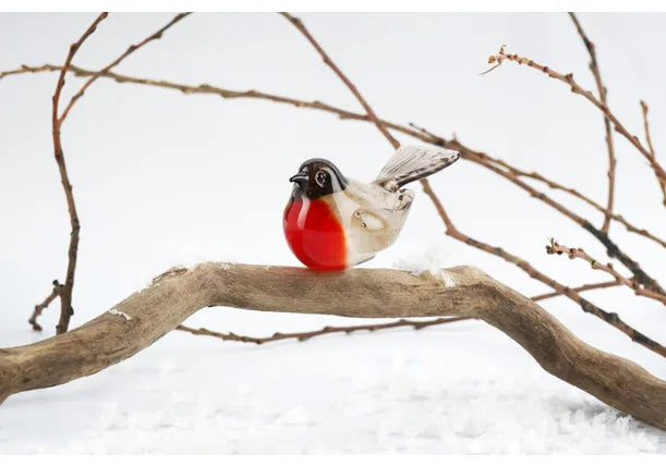 NEW Glass Robin