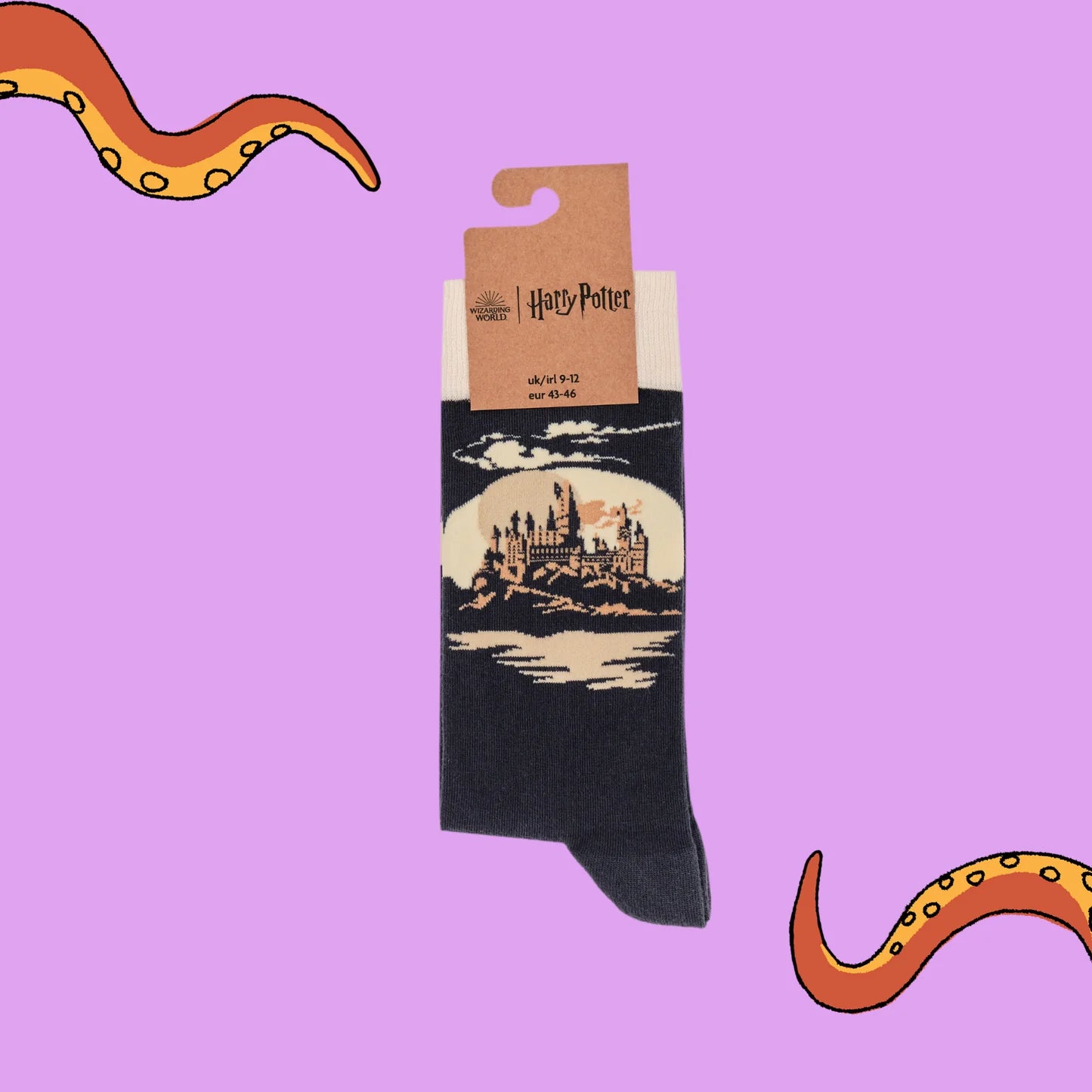 Pair of black and beige Harry Potter socks with Hogwarts design