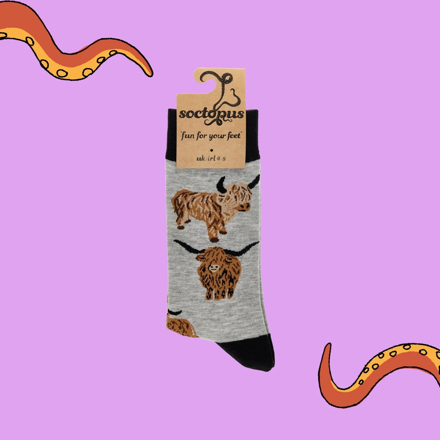Grey Highland Cow designs socks