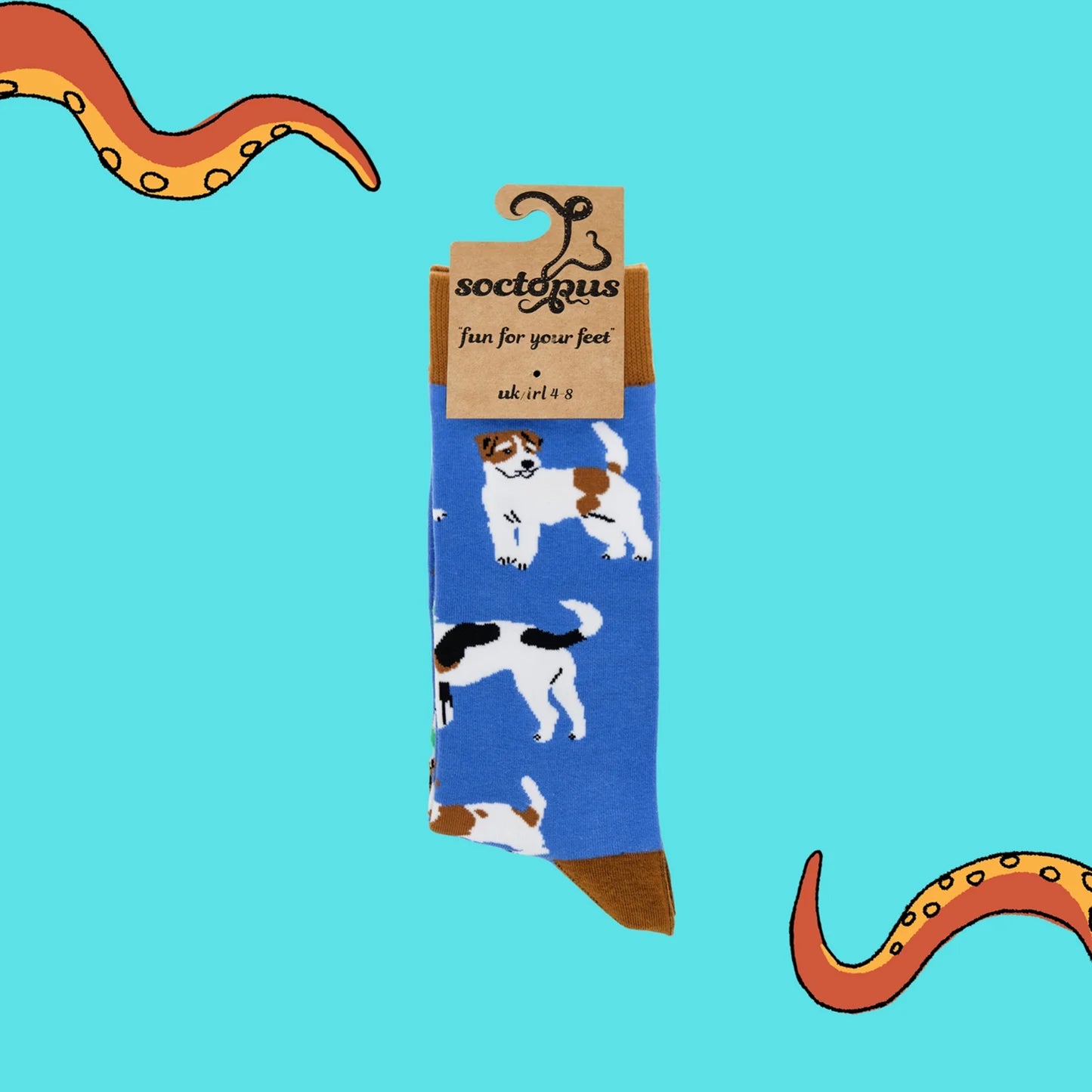 Pair of blue jack russel terrier dog socks