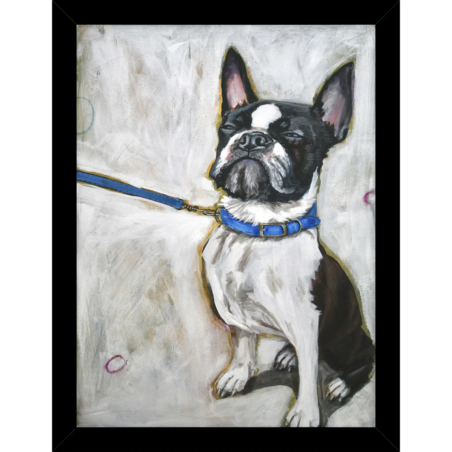 A framed print of a Boston terrier refusing a walk by artist Victoria Coleman