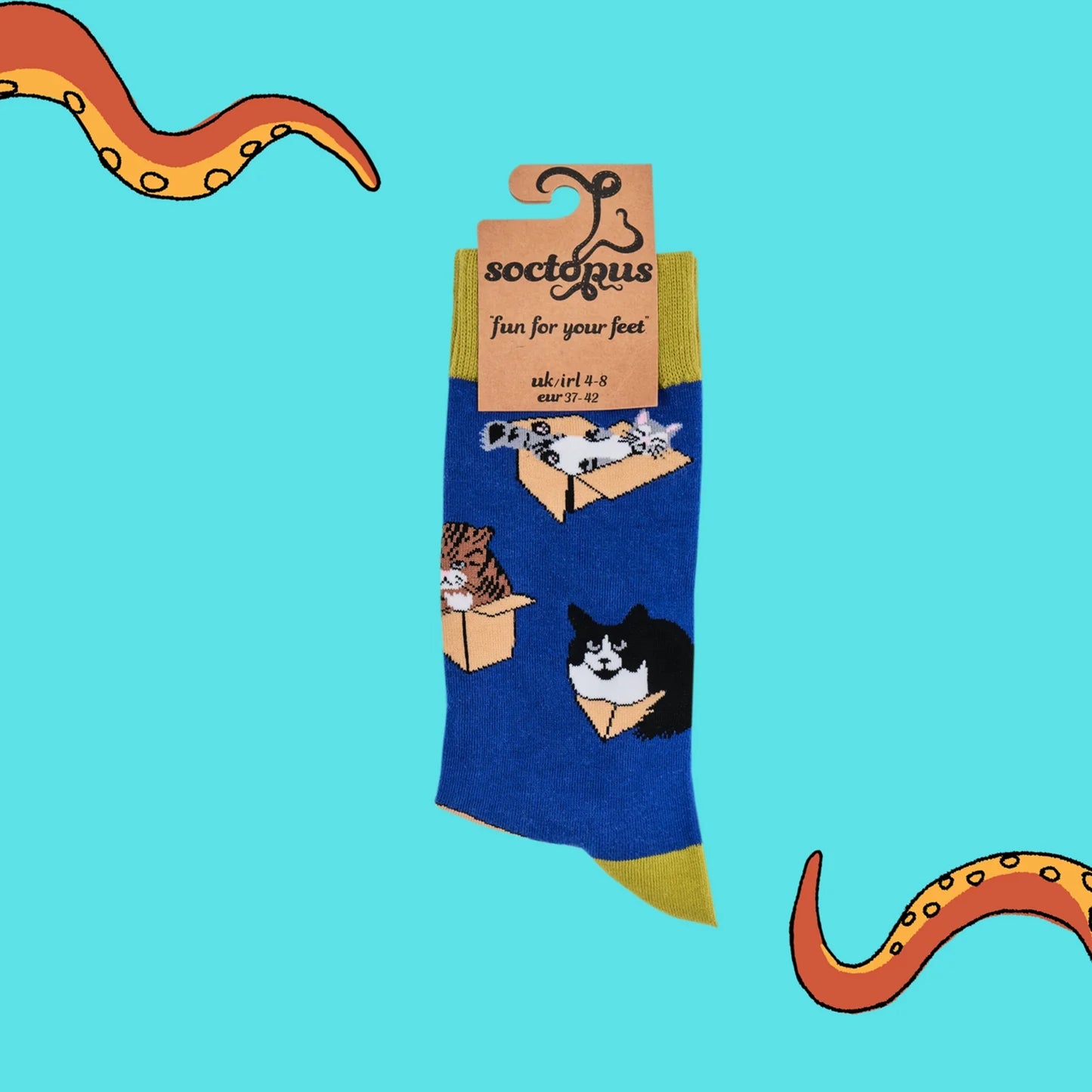 Pair of vivid blue socks with cats in boxes design