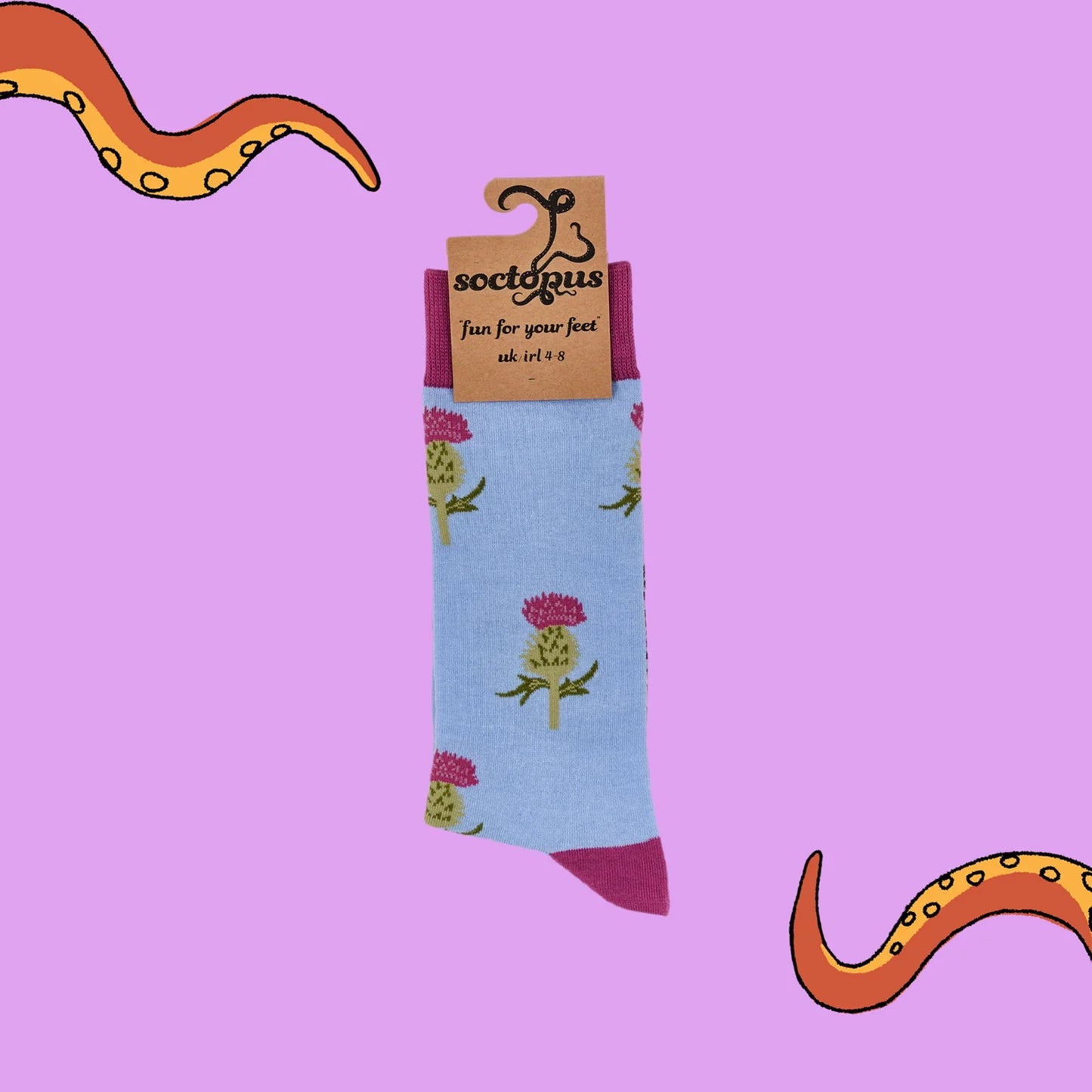 Scottish thistle design socks in light blue and pink