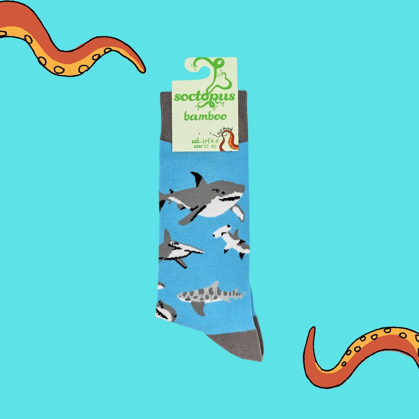 Blue socks with shark design