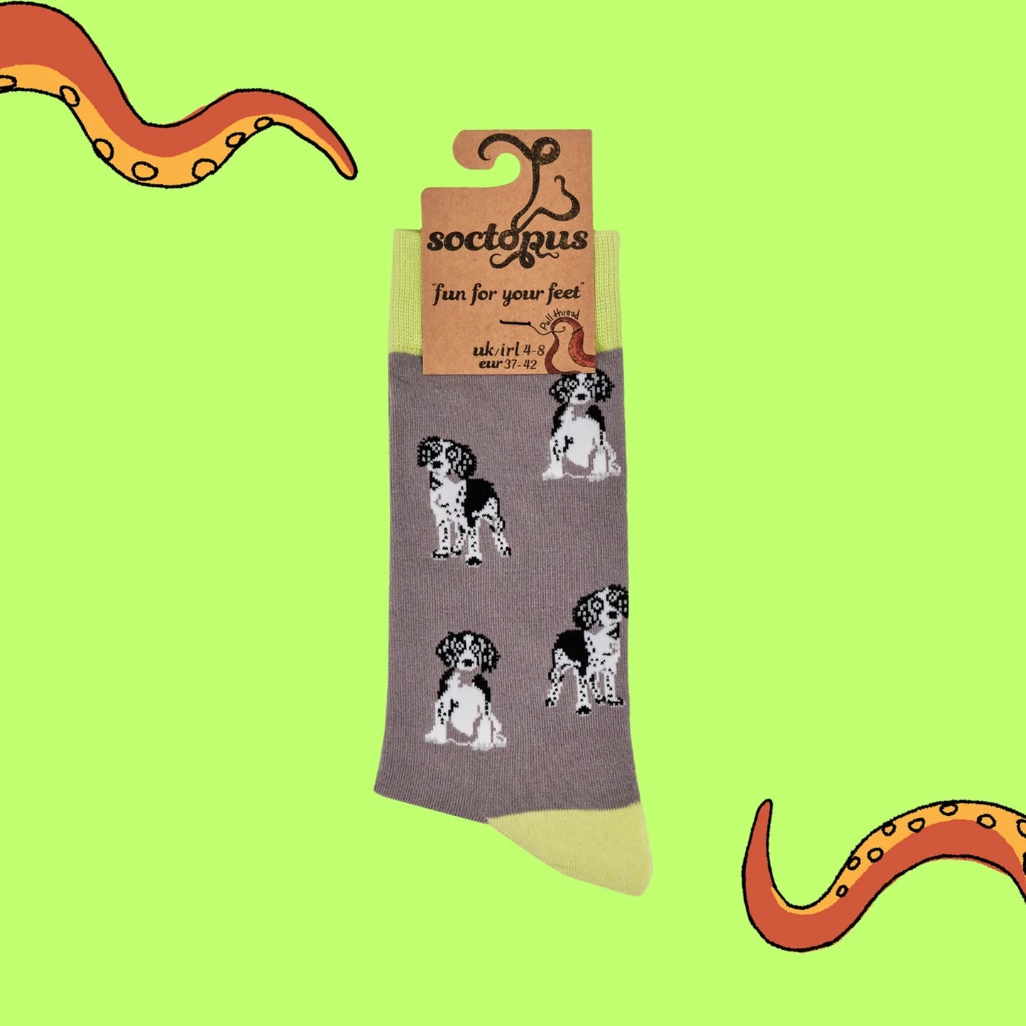 Spaniel dog socks in grey