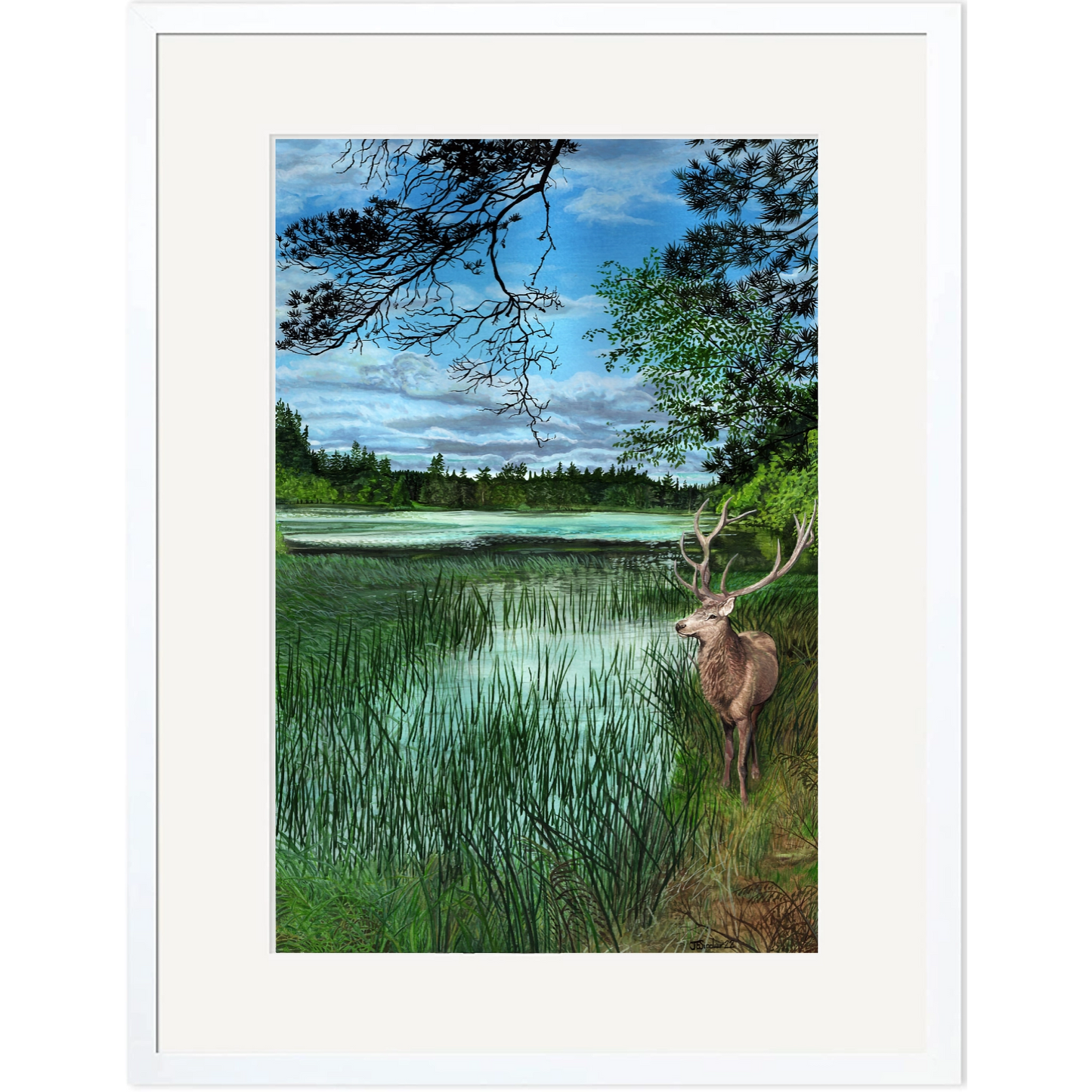 Framed Print | Visitor at Haddo Lake