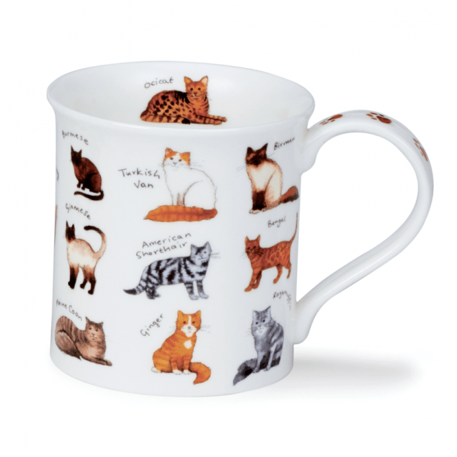 Bute Mug | Cat Breed