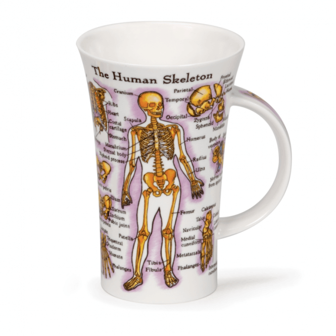 Glencoe Mug | Human Body