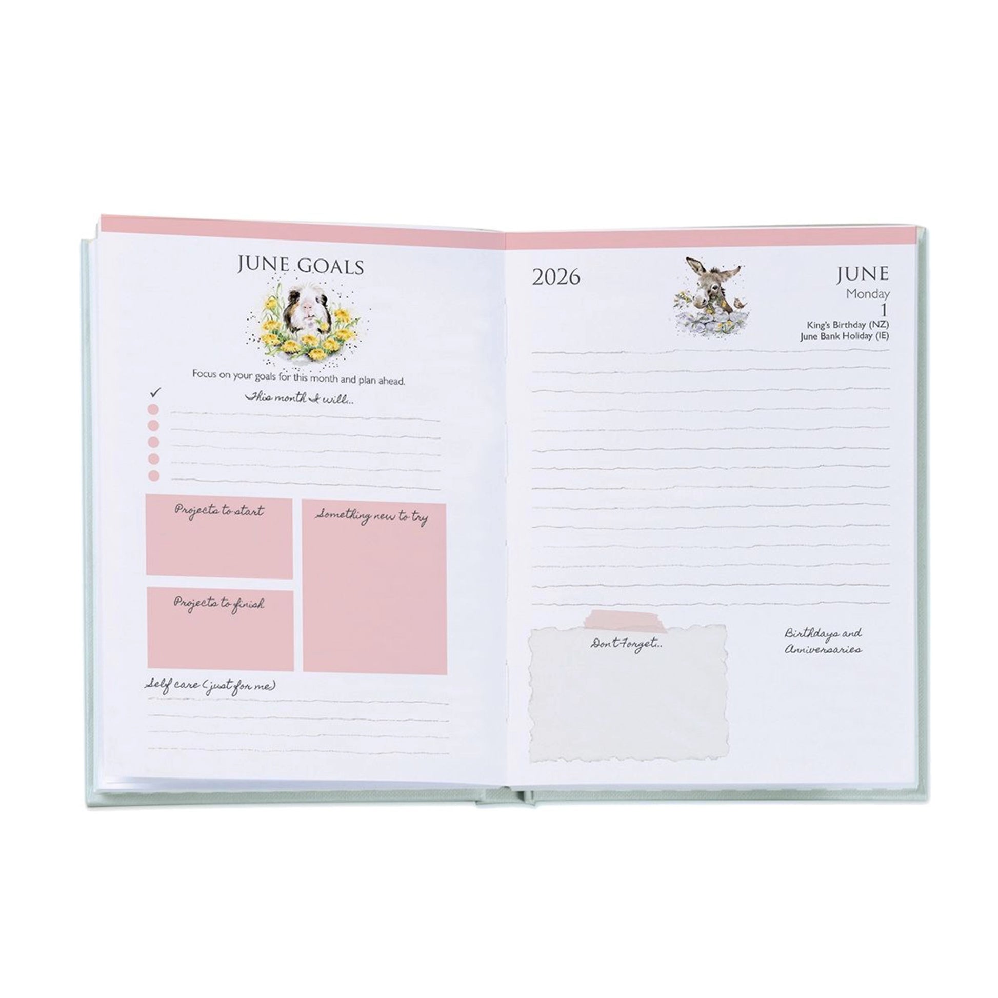 Illustrated 2026 desk diary with fully illustrated pages lifestyle