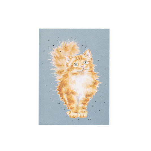 A blue paper notebook featuring an illustration of a fluffy orange striped cat