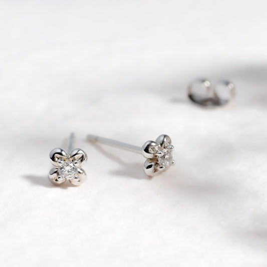 Blossom Flyte Honey Flower Glitz | Studs