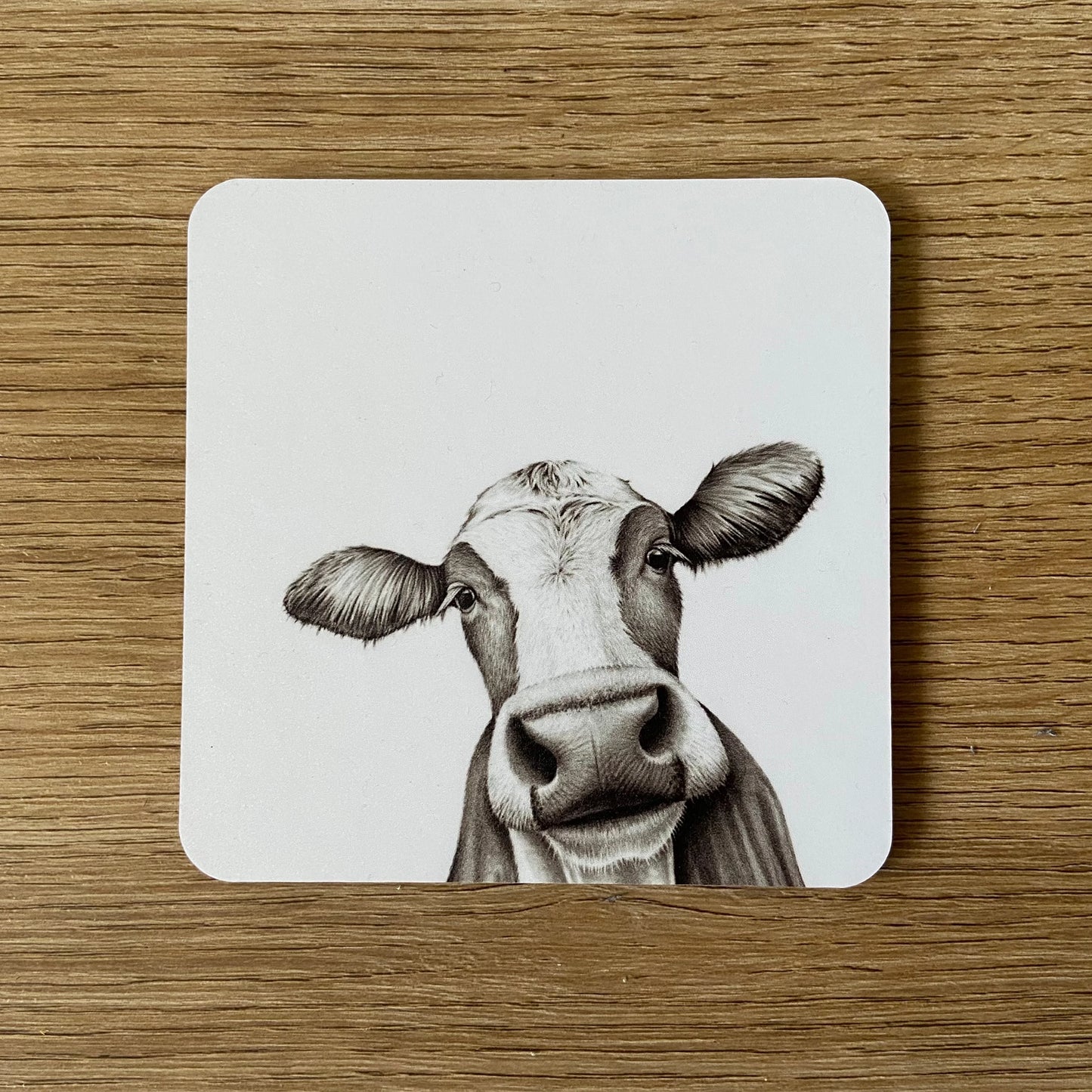 Coaster | Cassie Cow