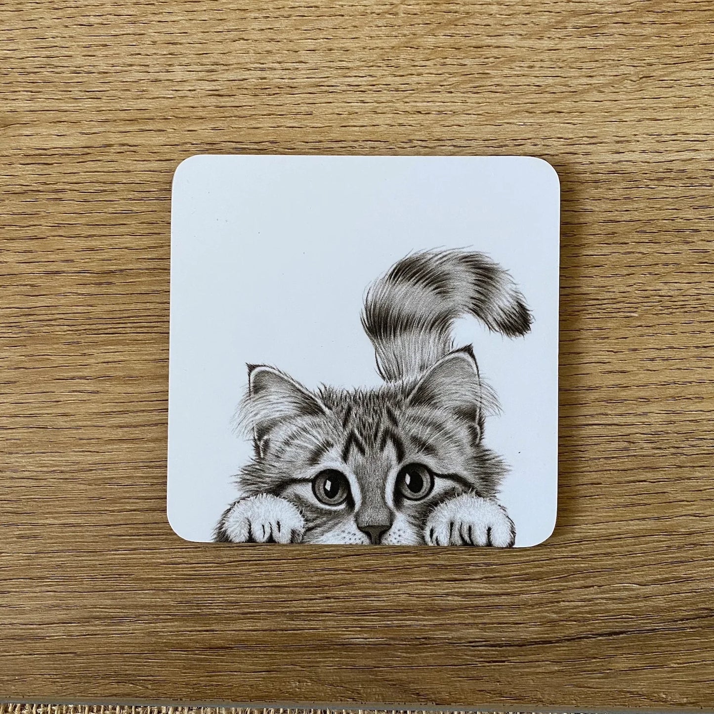 Coaster | Chester Cat