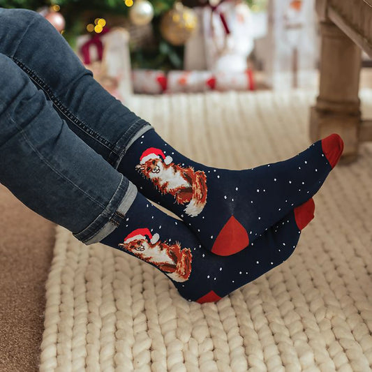 Model wearing pair of Christmas socks in navy with red heels and a fox