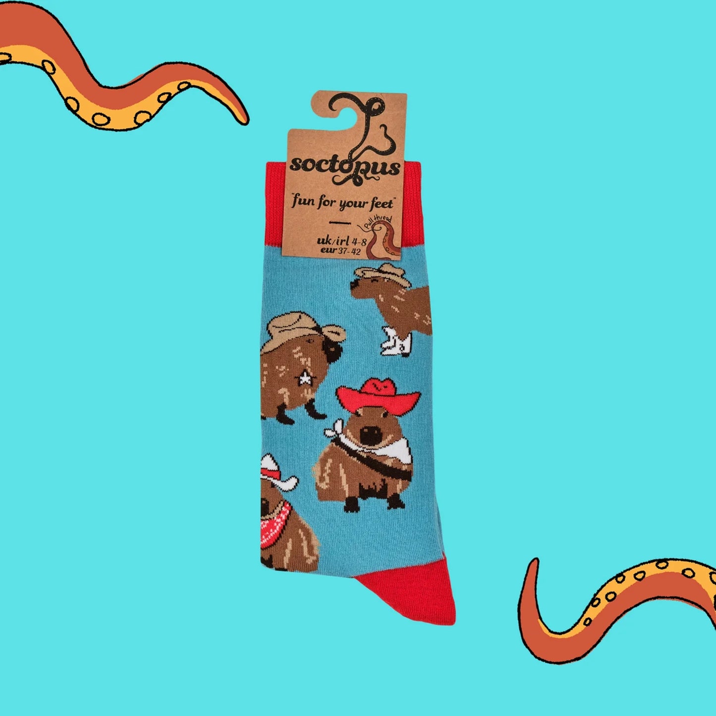Pair of blue socks with capybaras in cowboy hats and boots design in packaging