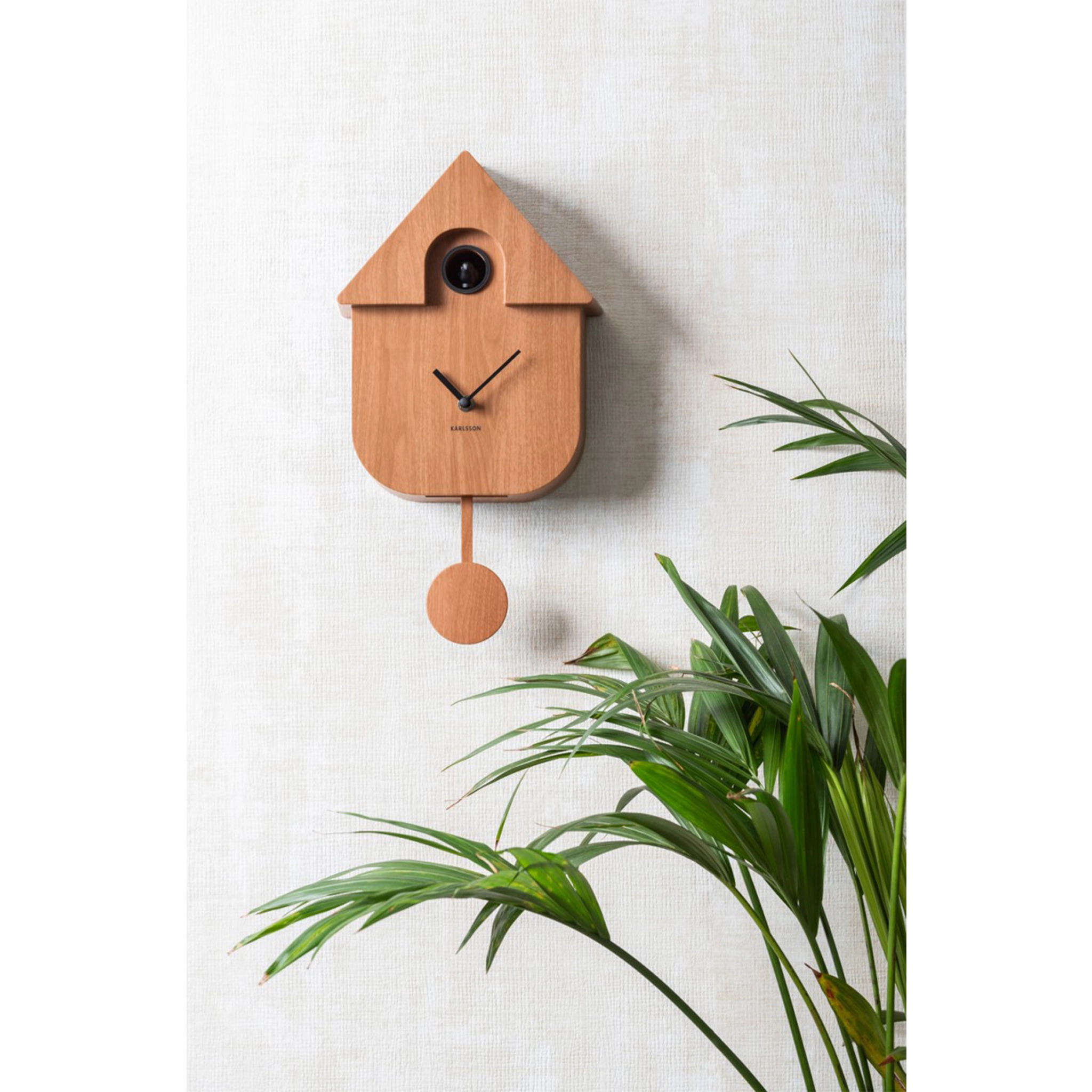 A dark wood finish modern cuckoo wall clock lifestyle