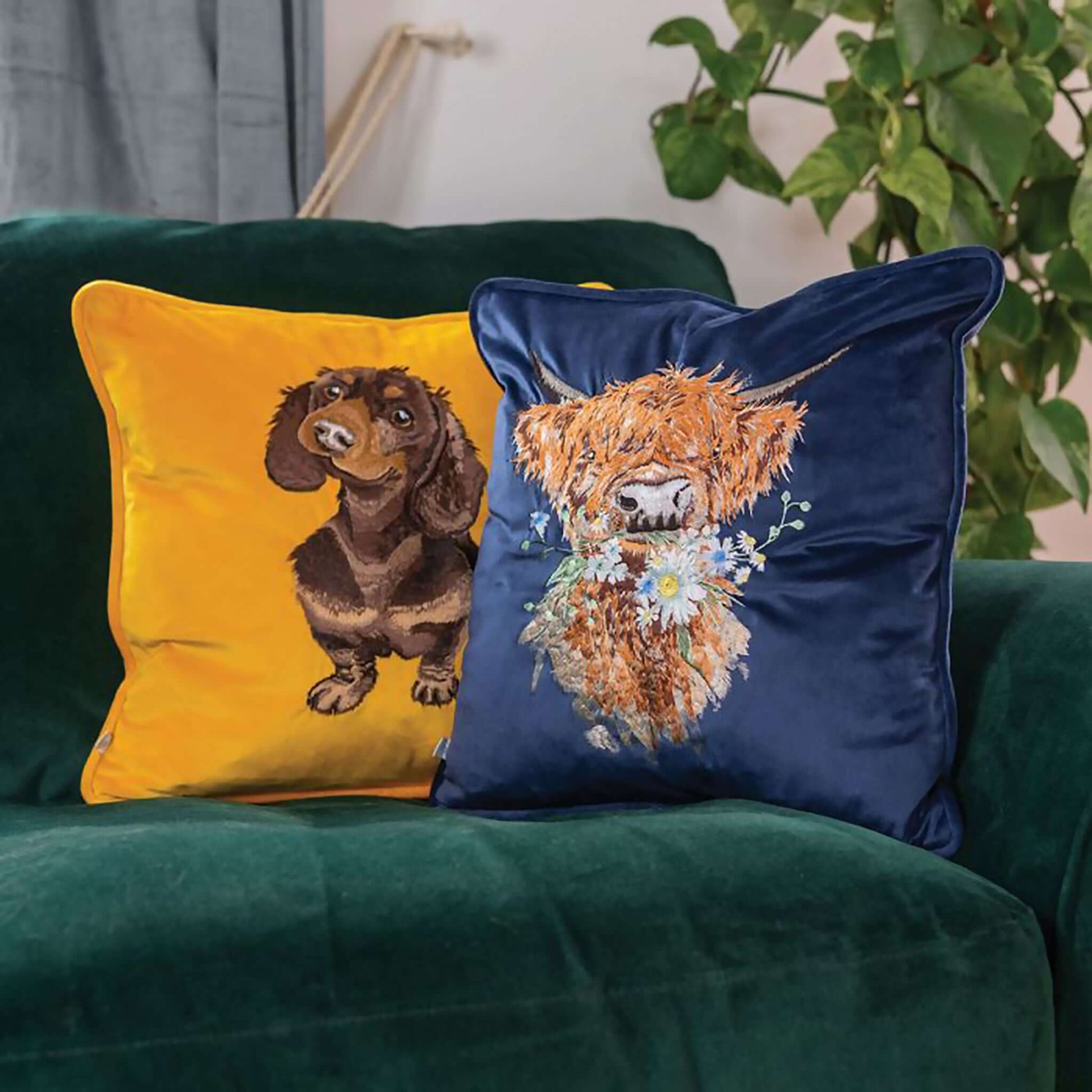 Navy faux suede cushion with embroidered Highland cow design lifestyle