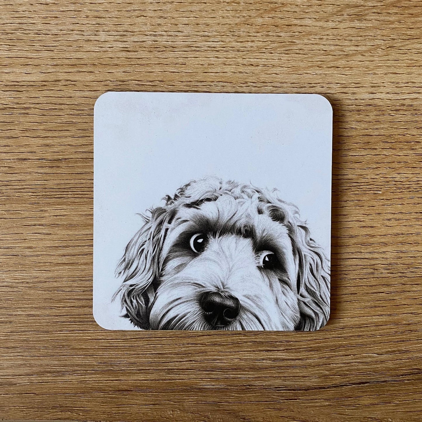 Coaster | Dino Cockapoo