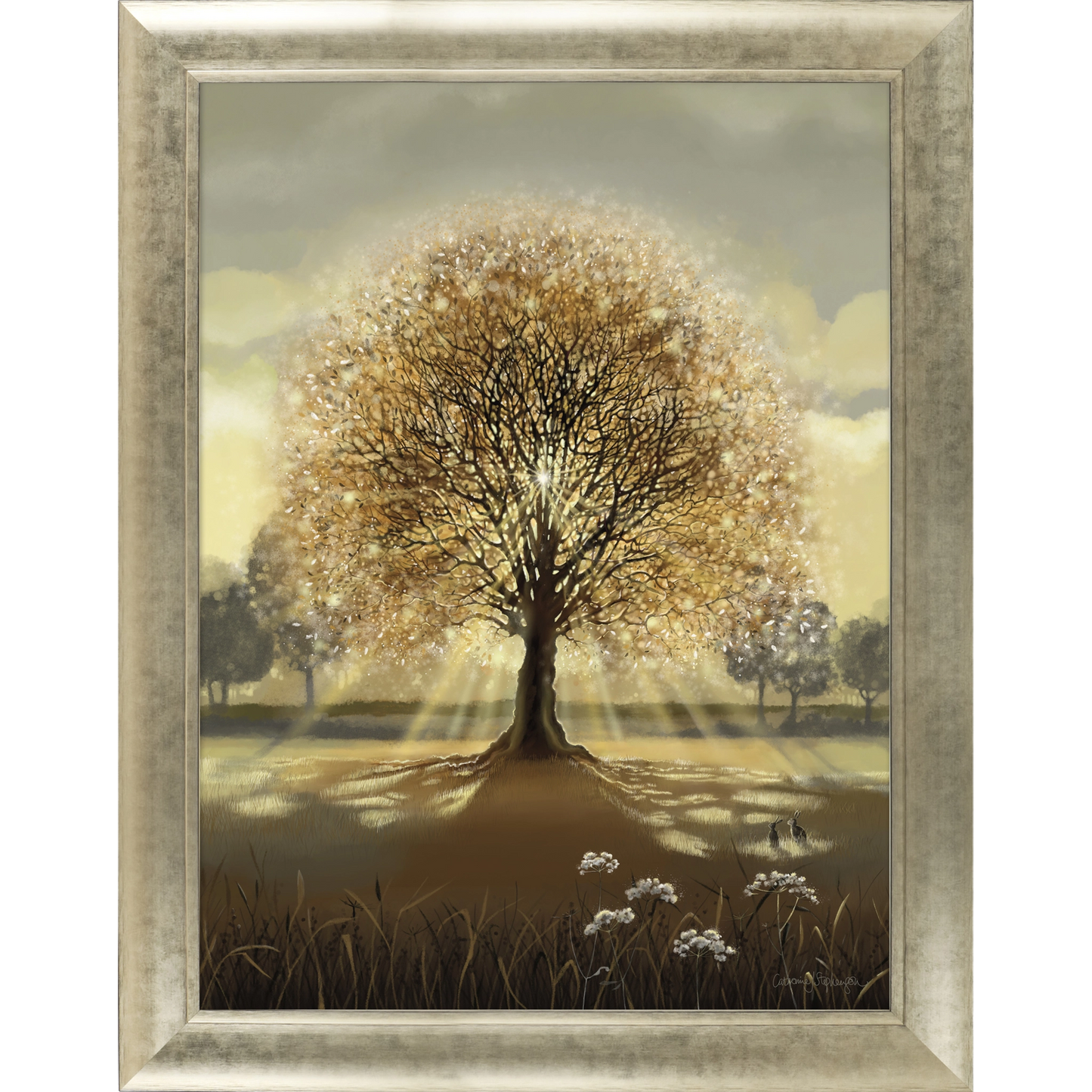 Evening Sun | Framed Print by Catherine J Stephenson