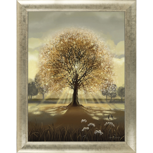 Evening Sun | Framed Print by Catherine J Stephenson