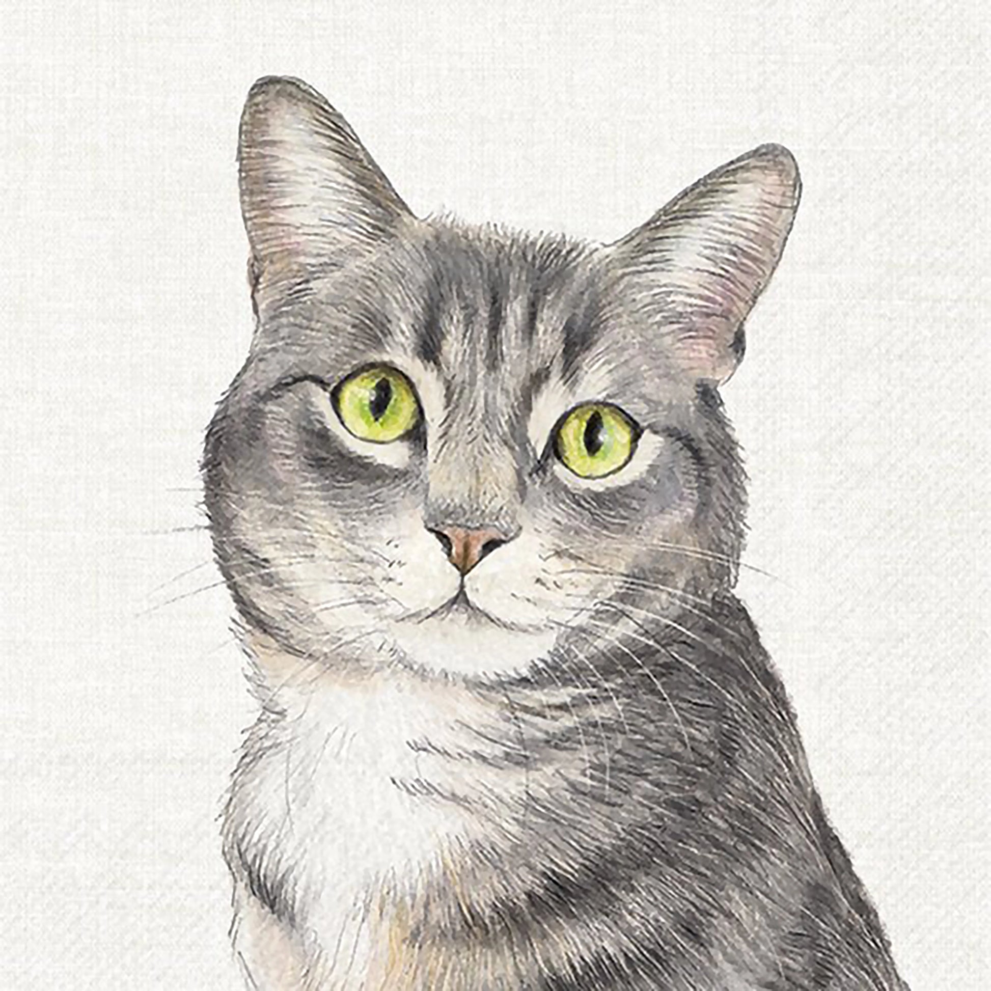 Paper napkins with tabby cat design