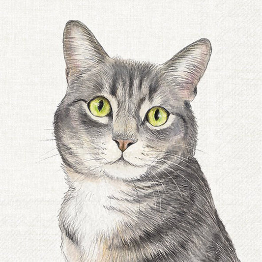 Paper napkins with tabby cat design