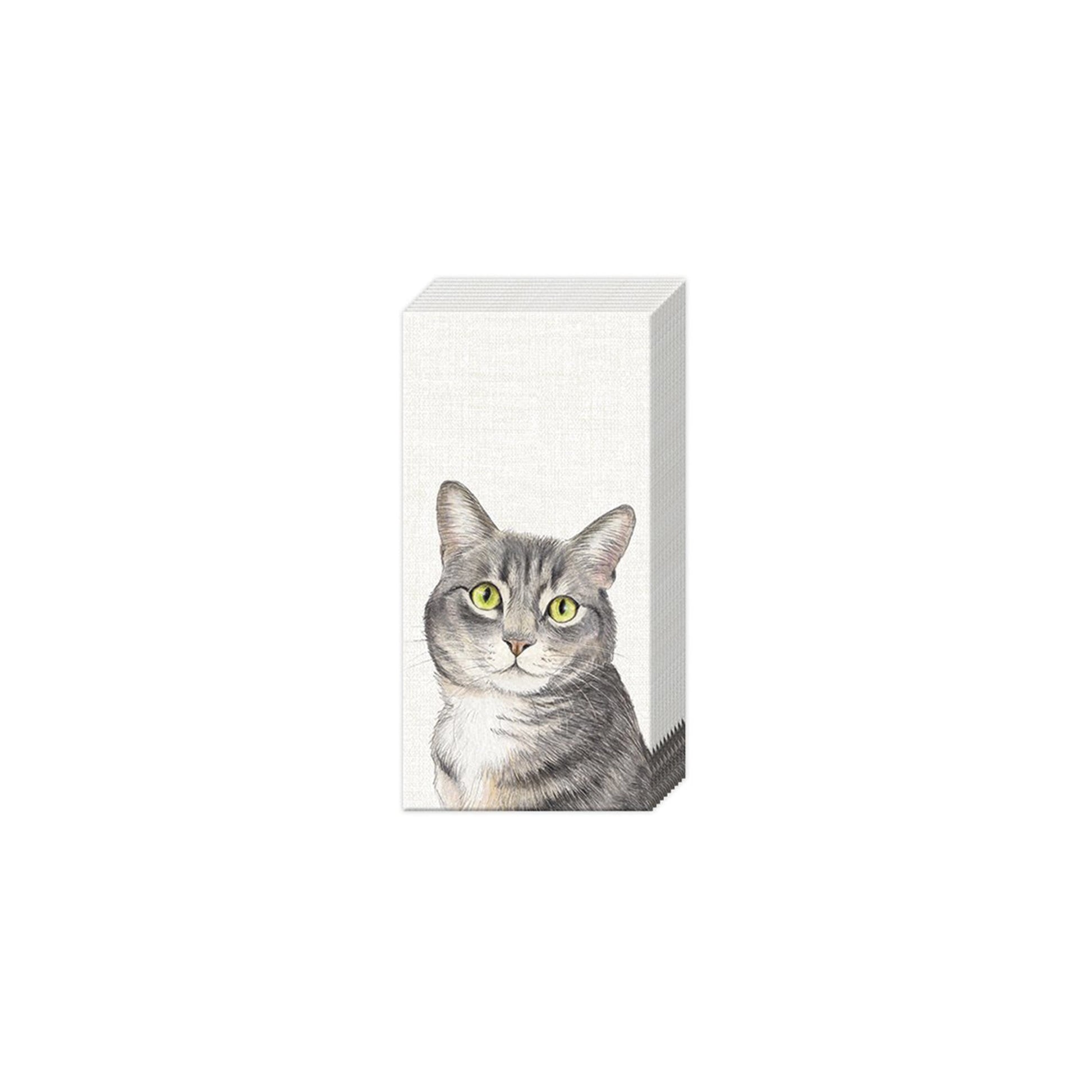 Paper pocket tissues with a tabby cat design