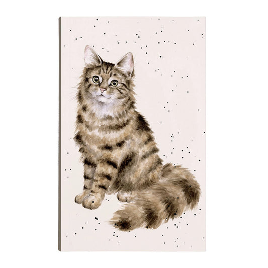 A pink notebook with a fluffy sitting tabby cat on the cover