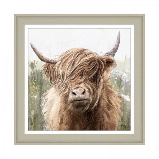A square framed art print featuring a Highland cow and light coloured flower background