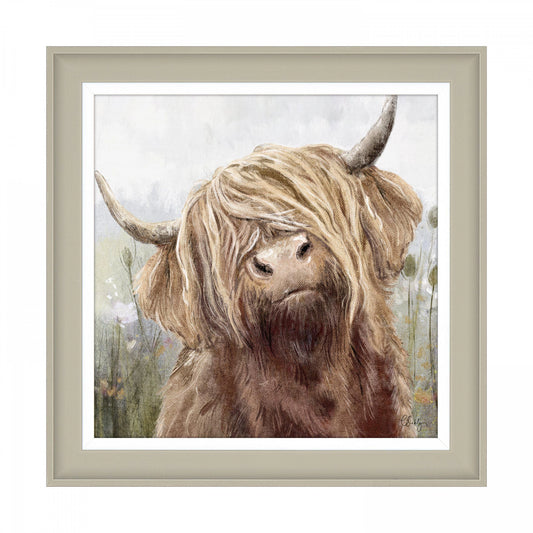 A square framed art print featuring a Highland cow and light coloured flower background