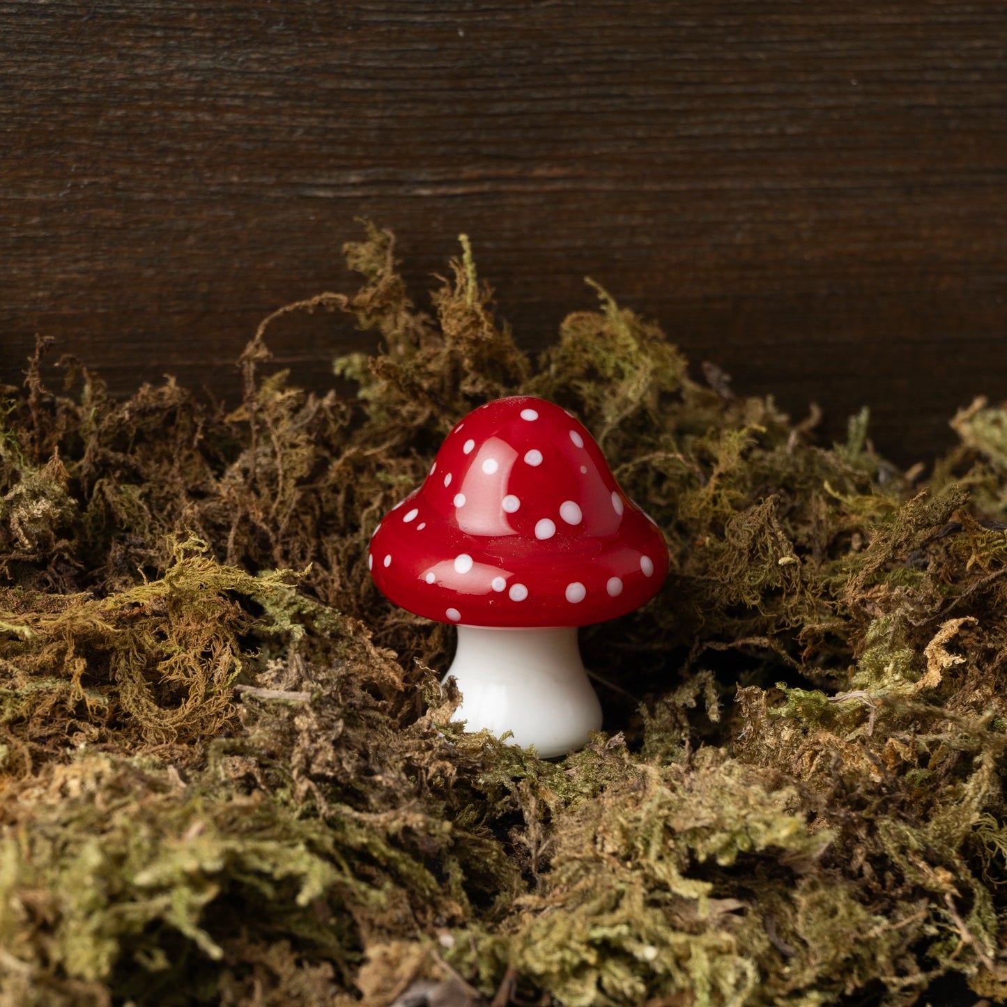Glass toadstool with white spots in moss