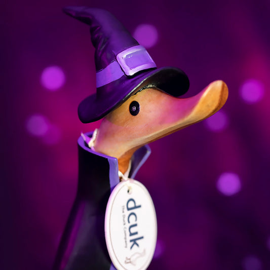 Halloween Duckling | Magician