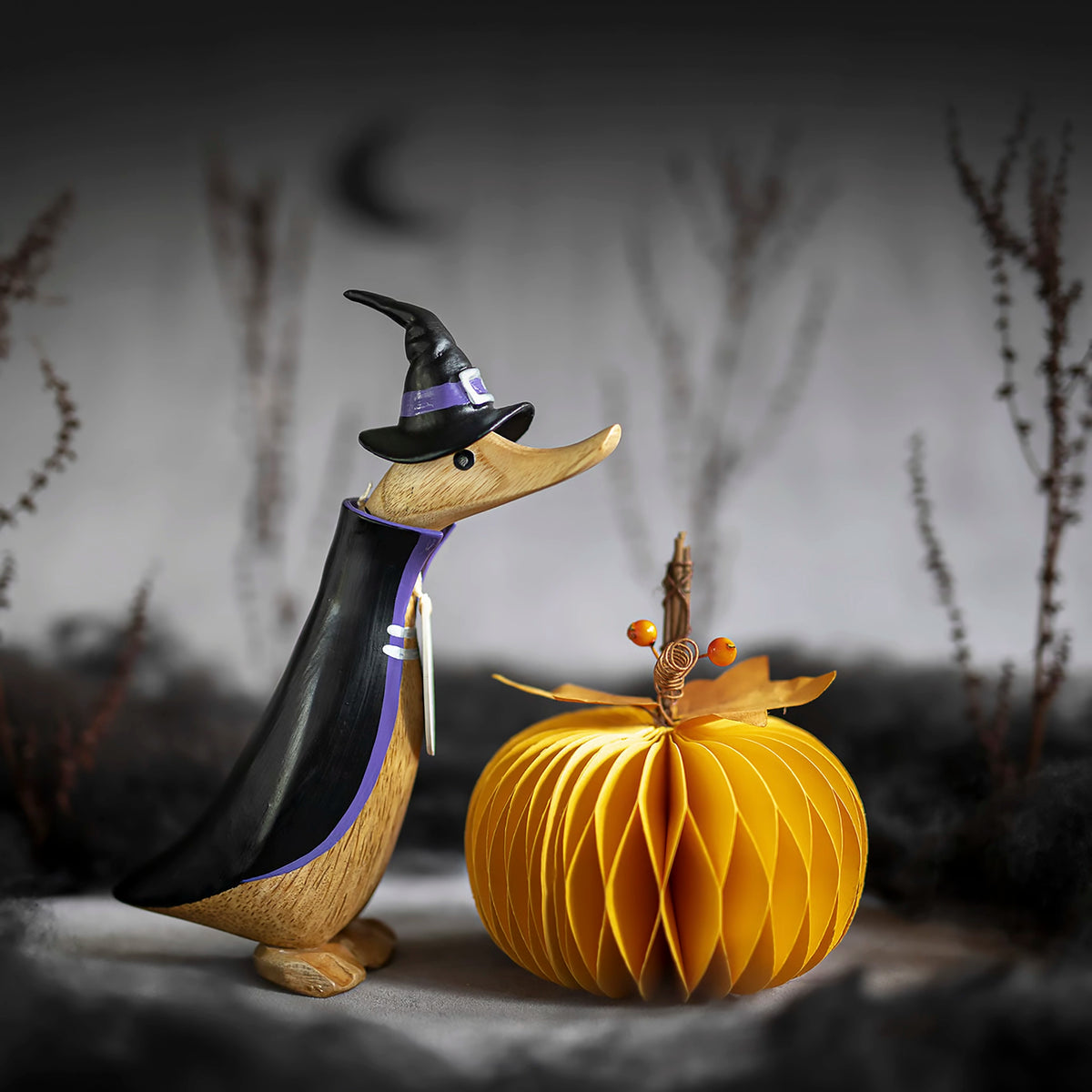 Halloween Duckling | Magician