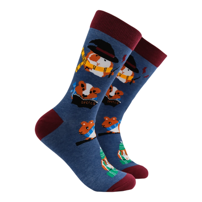 Harry Potter Pigardium Leviosa Socks | Blue
