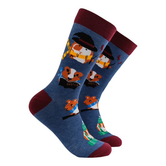 Harry Potter Pigardium Leviosa Socks | Blue