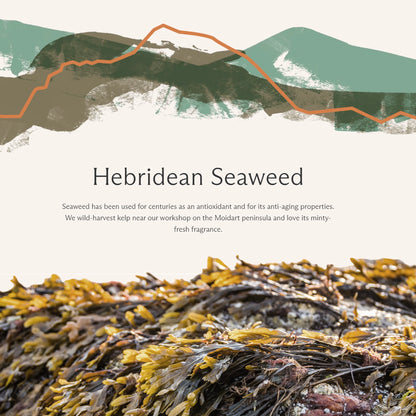 Hebridean seaweed text