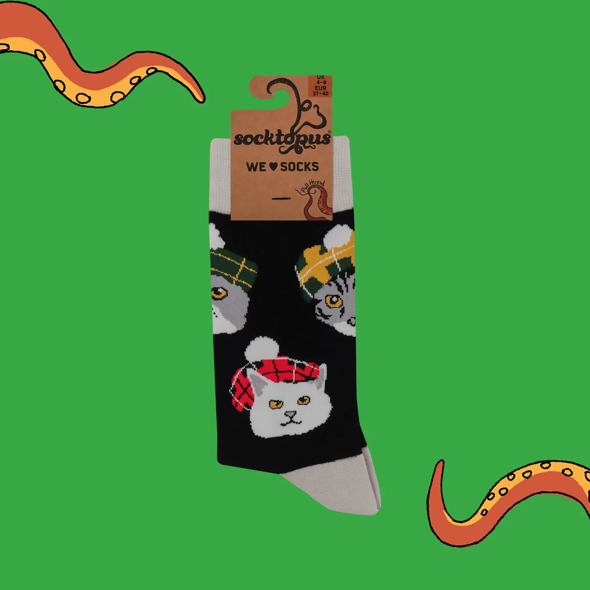Highland Cats Socks | Black