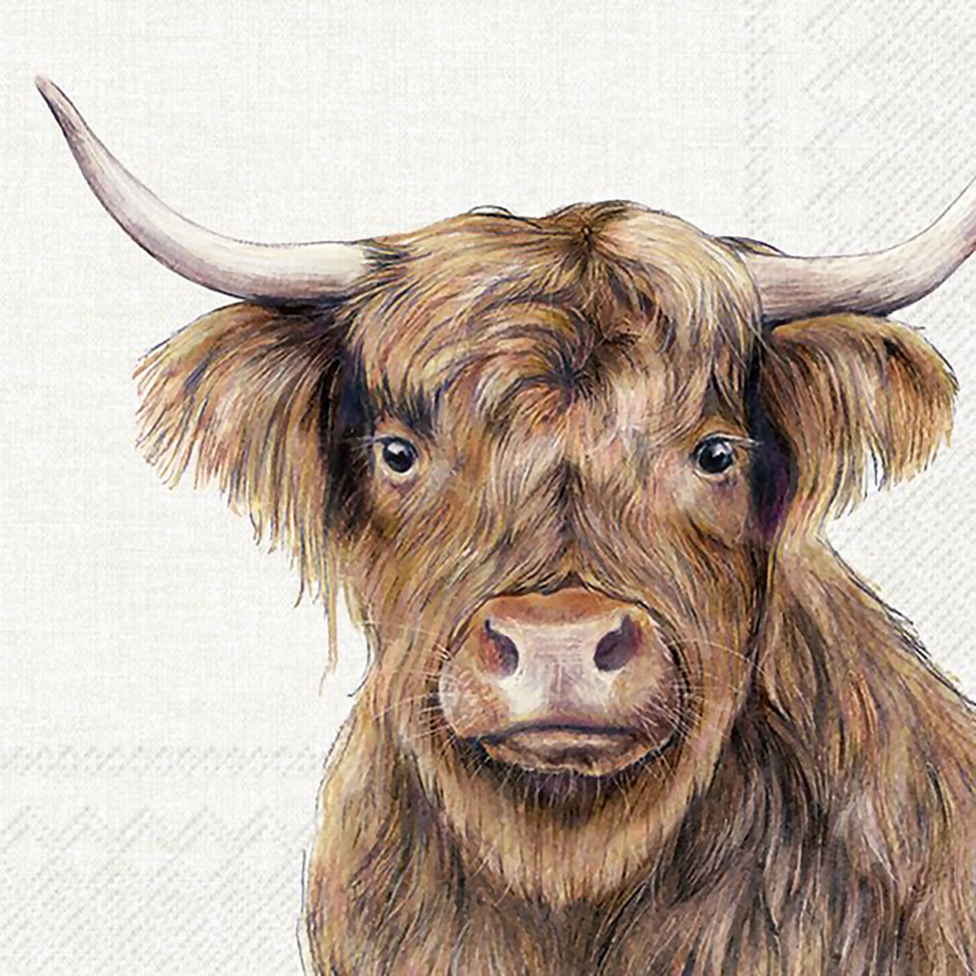 Paper napkins with Highland cow design