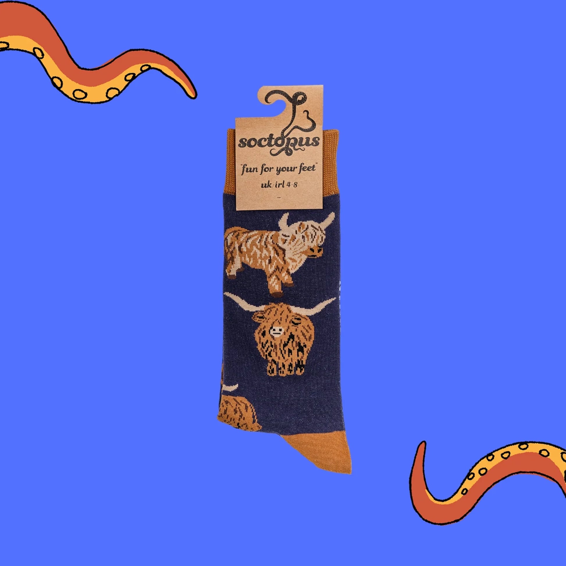 Dark Blue Highland Cow designs socks in packaging