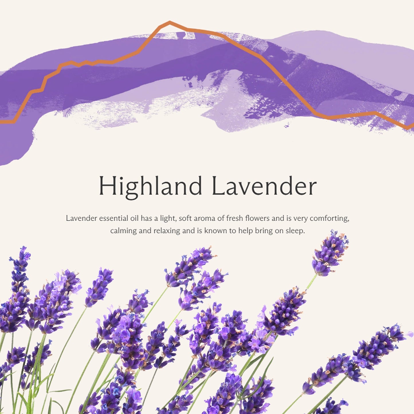 Highland Lavender text