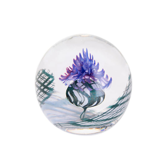 Purple thistle round glass paperweight with tartan check