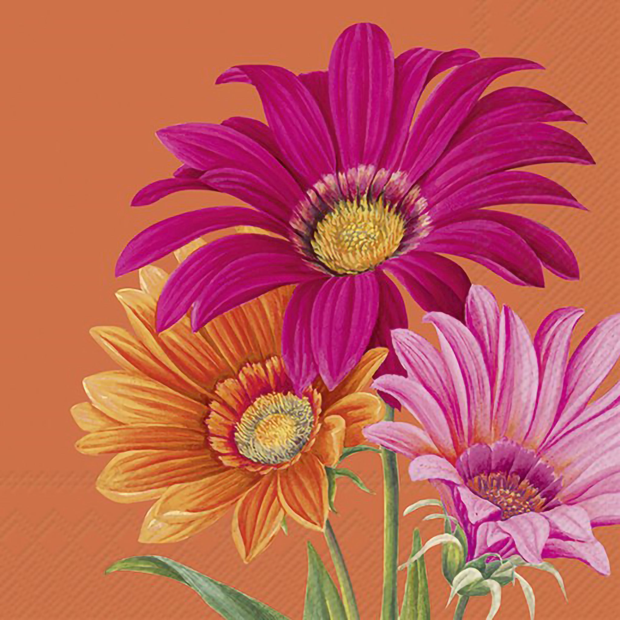 Orange paper napkins featuring pink and orange gerbera daisies